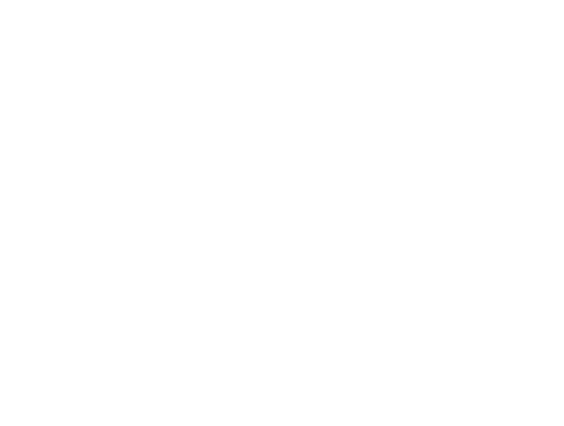 Sky Capital Group - Logo 800 White
